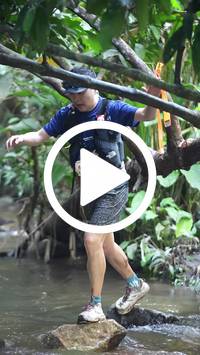 BIB:  <button type="button" onclick="openModal(27808862)" class="btn btn-primary btn-sm float-right" data-toggle="modal" data-target=".modal-high-quality">
                <i class="fa fa-download"></i> Download
                </button>